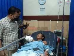 Tangan Kanan Pengunjung Putus Diterkam Buaya di Sinka Zoo, Ini Kronologisnya