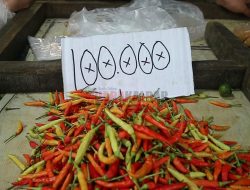 Cabai Rawit Tembus Rp100 Ribu di Pasar Tradisional Pontianak, Masyarakat Diminta Tak Panik