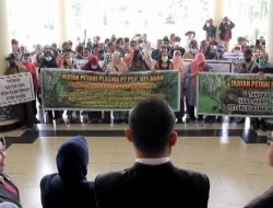 Merasa Dicurangi, Petani Plasma PT PSP HPI Agro Datangi Kantor Gubernur dan DPRD Kalbar