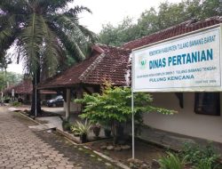 Dinas Pertanian Tubaba Akan Gelar Pelatihan Pembuatan Pupuk Organik