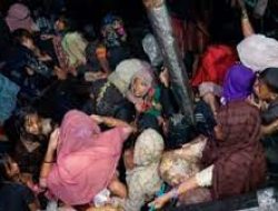 IOM Puji Indonesia Tak Pernah Tolak Pengungsi, Meski “Resettlement” Tetap Jadi Tantangan