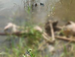 Sesosok Mayat Tanpa Identitas Ditemukan dalam Kondisi Tubuh Hancur Mengambang di Sungai Lematang