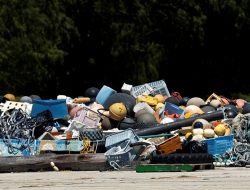 PBB Desak Tindakan Ambisius untuk Lindungi Lautan