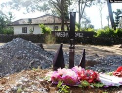 Polisi: KKB Tembak Mati 9 Warga Papua