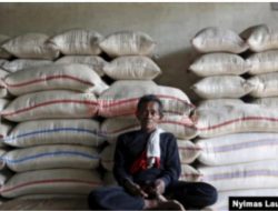 Jokowi: Meski Harga Pangan Dunia Naik, Harga Beras di Indonesia Stabil
