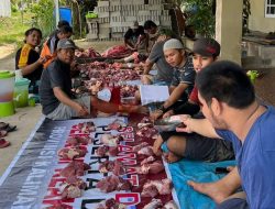 Alhamdulillah, LDII Kalbar Tebar Kurban Bernilai Lebih dari Rp 4 Miliar
