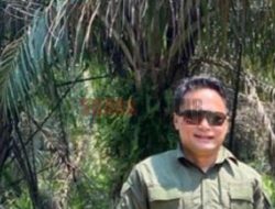 Apkasindo Minta Peraturan yang Menekan Harga TBS Sawit Dicabut