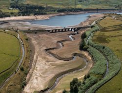 Petani, Masyarakat di Inggris Didesak Jaga Pasokan Air