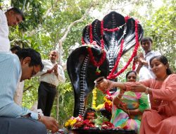 Umat Hindu India Rayakan Festival Ular