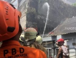 18 Unit Damkar Dikerahkan, 1 Warga Luka Bakar Akibat Kebakaran di Tambora