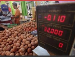 Bos RNI Blak-blakan Soal Kenaikan Harga Telur Ayam