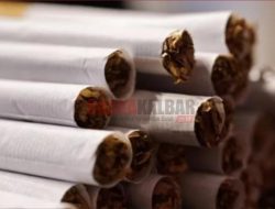 Bantu Hentikan Kecanduan Merokok, Tembakau Alternatif Perlu Dikenalkan ke Perokok Dewasa