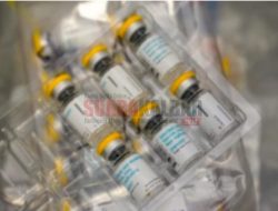 PB IDI Siapkan Rekomendasi Penyediaan Vaksin Cacar Monyet