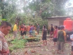 Angin Puting Beliung Terjang Kapuas Hulu, Tujuh Rumah Warga Rusak