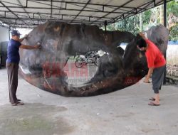 Cina Belum Berikan Update Terkait Sampah Antariksanya