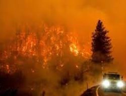 Kebakaran Hutan Meluas di California, Terbesar dalam Tahun Ini