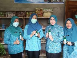 Ketua TP PKK Sumsel Feby Deru Motivasi Kader PKK OKU Jadi Panutan Warga