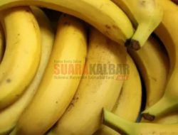 4 Fakta Bintik Hitam pada Pisang, Ternyata Lebih Bernutrisi