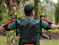 Malaysia Kembangkan Terer untuk Dongkrak Produksi Sawit