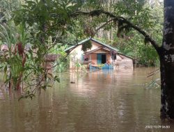 Lima Desa di Nanga Mahap Kabupaten Sekadau Terendam Banjir