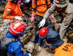 BNPB: Korban Tewas Gempa Cianjur Naik Jadi 310 Orang