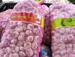 Kementan: Ketersediaan Pangan Strategis Cukup Aman
