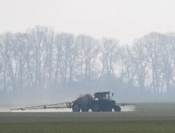 Rusia Sumbangkan 260.000 Ton Pupuk ke Afrika