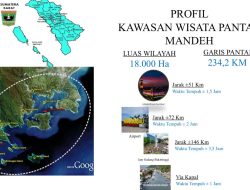 Kawasan Mandeh Sumbar Direncanakan Akan Miliki Konservasi Lumba Lumba