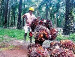 DPRD Sekadau Minta Perusahan Pola PIR Tanggap atas Keluhan Petani Plasma