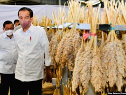 Meredam Ancaman Krisis Pangan Tahun Depan