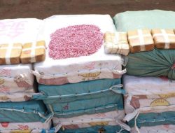 Polisi Swedia Sita 500 Kilogram Narkotika di Stockholm