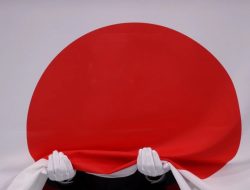 Jepang akan Dorong Reformasi Dewan Keamanan PBB