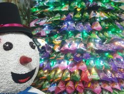 Pohon Natal Seribu Plastik Kemasan, Ajakan Melakukan Pertobatan Ekologis