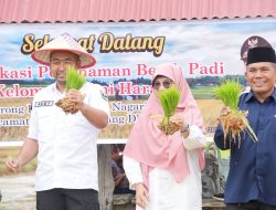 Genjot Ekonomi Masyarakat, Wagub Sumbar Lepaskan 15 Ribu Bibit Ikan di Nagari Sikabau
