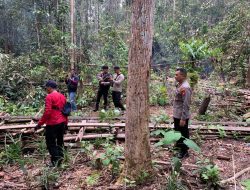 Polres Bengkayang Gelar Patroli dan Razia Cegah Illegal Logging