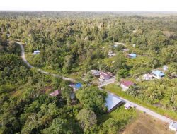 Ribuan Hektare Diperjuangkan sebagai Hutan Adat di Gunung Mas Kalteng