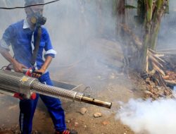 Cegah Penyebaran Chikungunya, Dinkes Tulungagung Lakukan Fogging