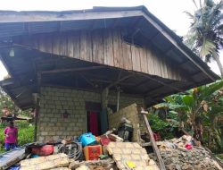 Gempa 5,2 SR di Papua, Sedikitnya 4 Tewas
