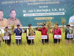 Bupati Banyuasin Panen Padi Bersama IrjenTan RI