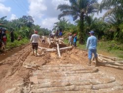 Warga Desa Peniti Sekadau Hilir Gunakan Pohon Karet untuk Perbaikan Jalan