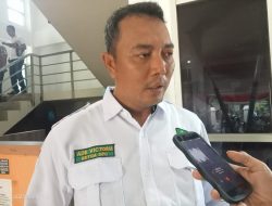 Ade Victoria Targetkan Satu Kursi di Masing-masing Dapil
