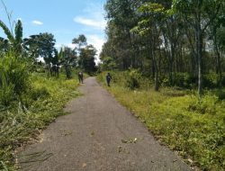 Pemdes Tanjung Beringin Kecamatan Kota Agung Gotong Royong Bersihkan Bahu Jalan