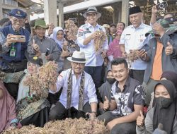 Menteri Pertanian Puji Produksi Holtikultura Sumbar yang Bisa Saingi Jawa