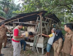 Jelang Idul Adha, Pemkab Asahan Periksa Hewan Qurban