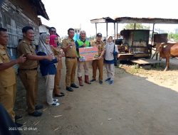 PTBA Unit Dermaga Kertapati Salurkan 25 Ekor Sapi Kurban Kepada Masyarakat di Ring 1 Perusahaan