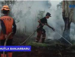 BNPB: Cuaca Kering Tingkatkan Risiko Kebakaran Hutan di Indonesia