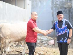 Berbagi di Hari Raya Idul Adha 1444 H, Gubernur Herman Deru Serahkan Sapi Qurban ke Sejumlah Masjid 