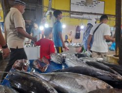 Harga Ikan Cakalang di Pasar Hiegenis Ternate Mulia Turun