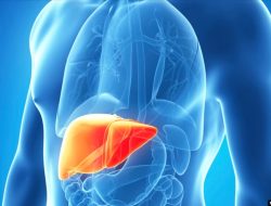 Hari Hepatitis Sedunia: Mengikis Virus di Tengah Ancaman Baru