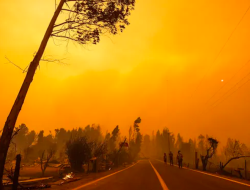 Dampak El Nino Dimulai, Puncak di Indonesia Agustus-September\xa0